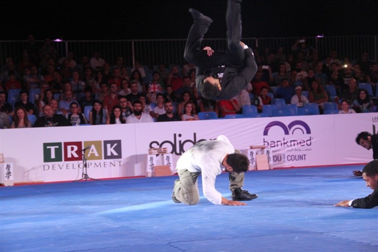 Martial Arts Festival